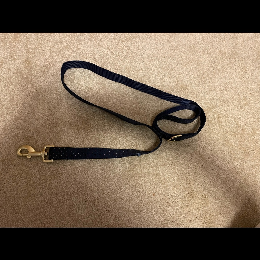 Large breed dog leash
